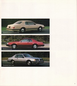 1983 Ford Thunderbird (005-Ann)-03.jpg